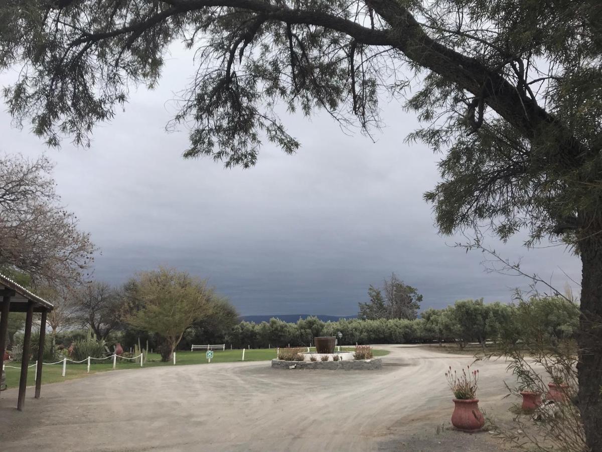 Olive Grove Guest Farm Villa Beaufort West Exterior photo